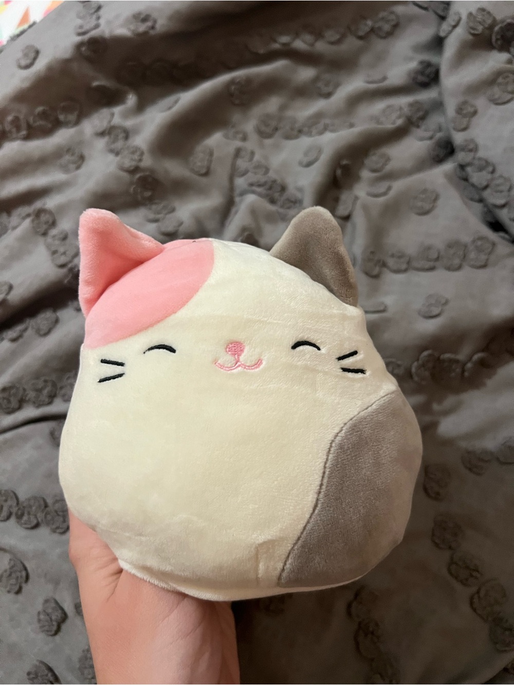 Cat, Dog reversible Squishmallow